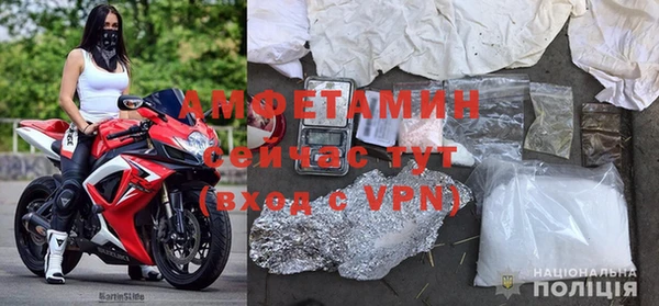 прущие грибы Абдулино