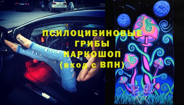 бошки Елизово