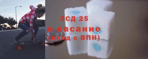 прущие грибы Абдулино