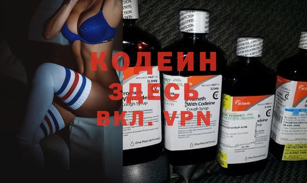 хмурый Ельня