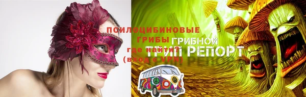 дживик Елабуга
