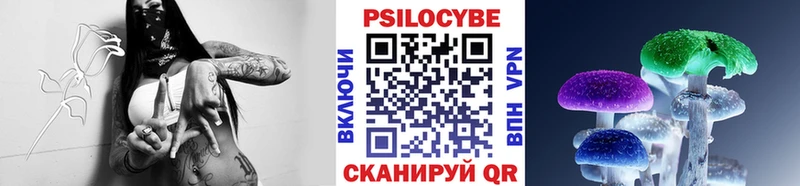 площадка состав  Дальнереченск  Галлюциногенные грибы Cubensis  закладка  hydra маркетплейс 